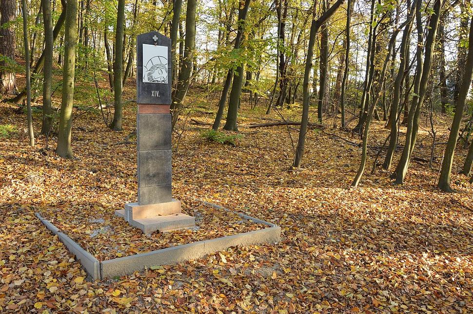 Obrázok blogu