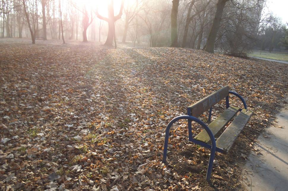 Park ráno v januári 2020... Senica