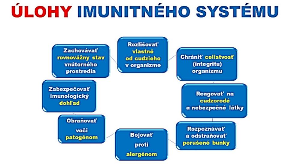 Obr. 1: Prvoradé úlohy imunitného systému