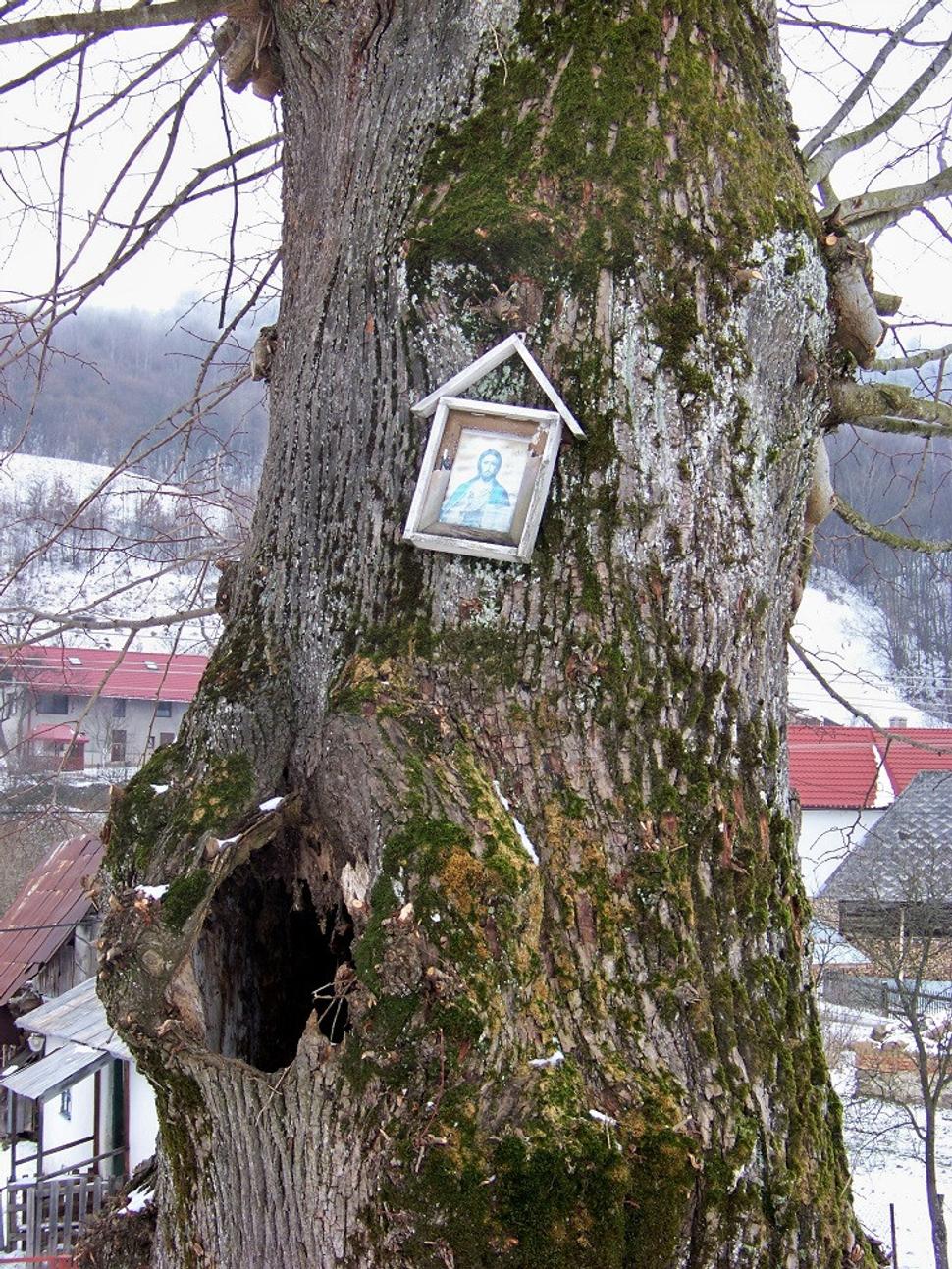 Obrázok blogu