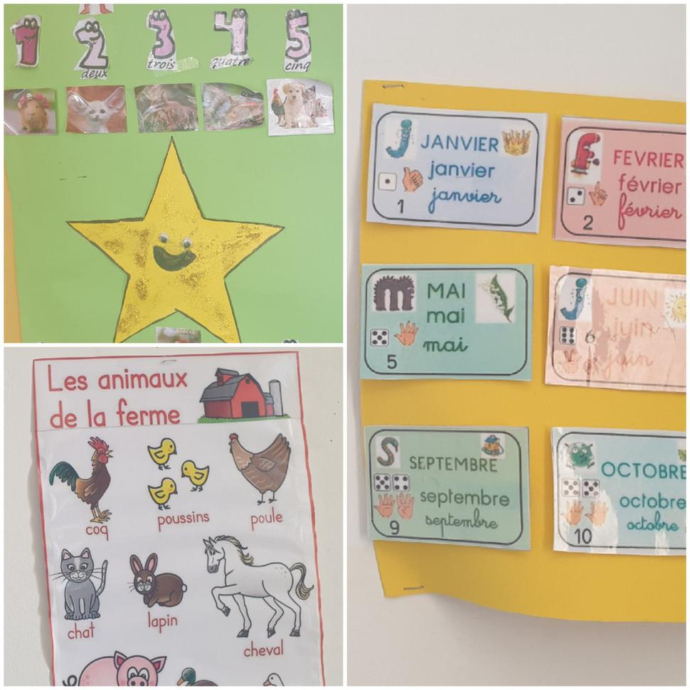 Steny tried vo vzdelávacom centre oživuje francúzska slovná zásoba
