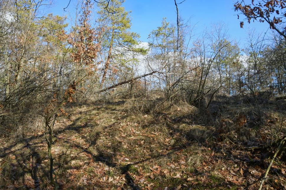 Kdesi tu na vrchole kopca Stráž pri Jabloňovciach stála kedysi hláska alebo dokonca väčšia vartovka. Možno považovať tento kopček zeminy pomiešanej s kamením za ostatky strážneho miesta? Chcelo by to archeologický prieskum.