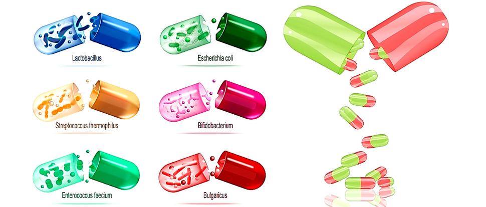 Obr. 5: Probiotiká v tobolkách (kapsliach), ilustračné foto, zdroj: https://www.freepik.com/free-photos-vectors/symbiont, https://www.vectorstock.com/royalty-free-vector/open-pill-capsule-vector-791408