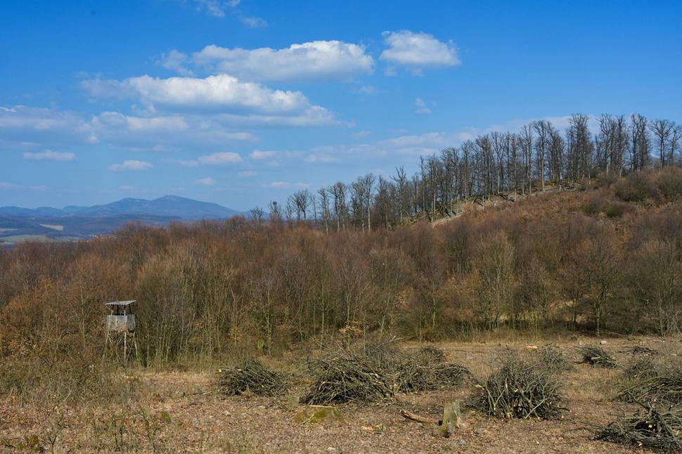 Pohľad zo svahu Rakšáňovej hory na Kramársky vrch a Sitno na horizonte v pozadí.