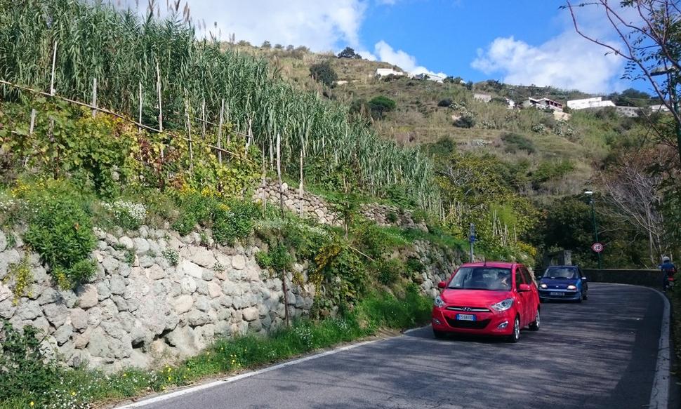 Cestou necestou smerom na Monte Epomeo