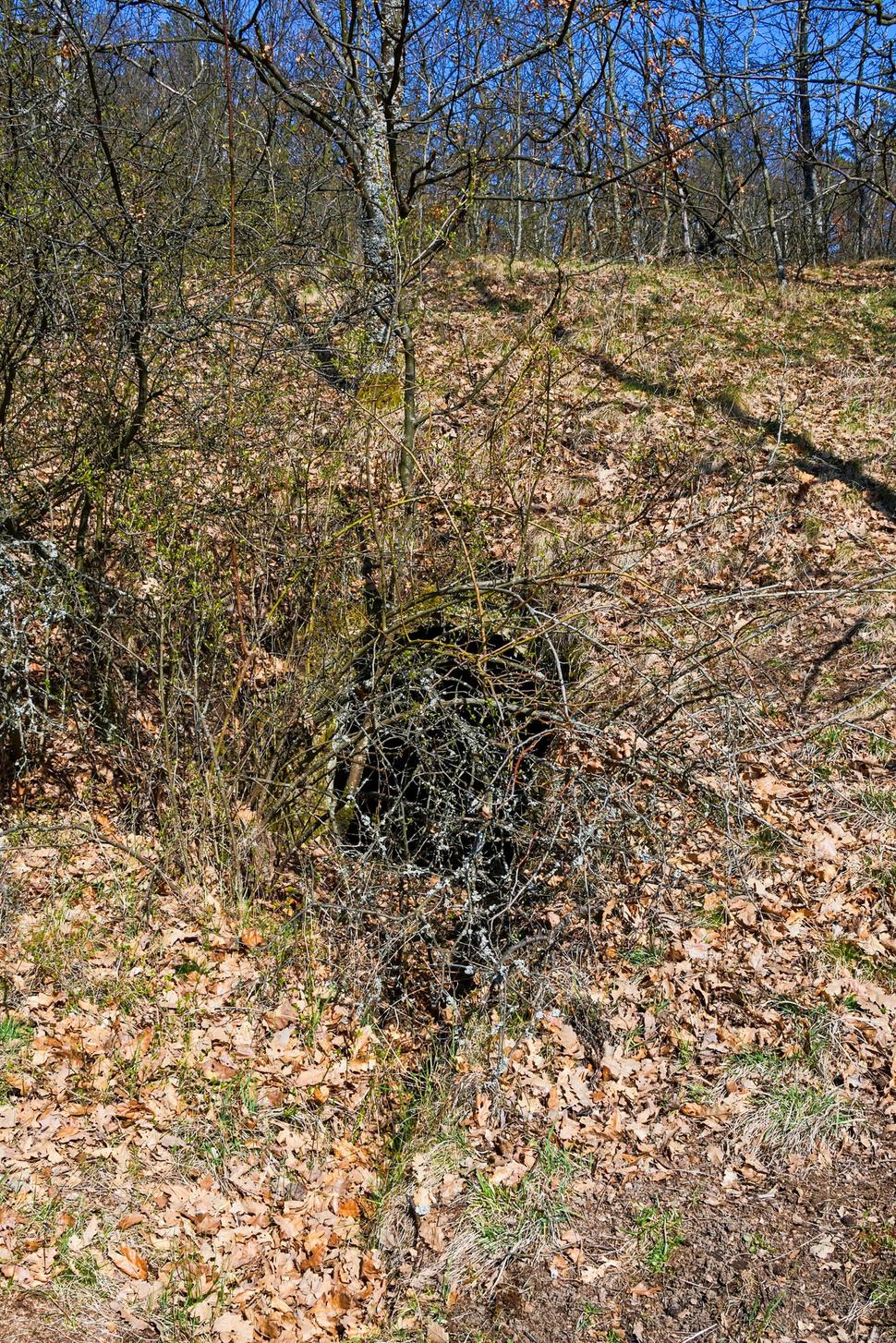 Je zrejmé, že do tohoto dúpänca pred nami už zopár mesiacov nikto nevkročil.