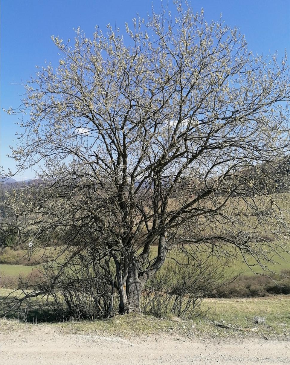 Obrázok blogu