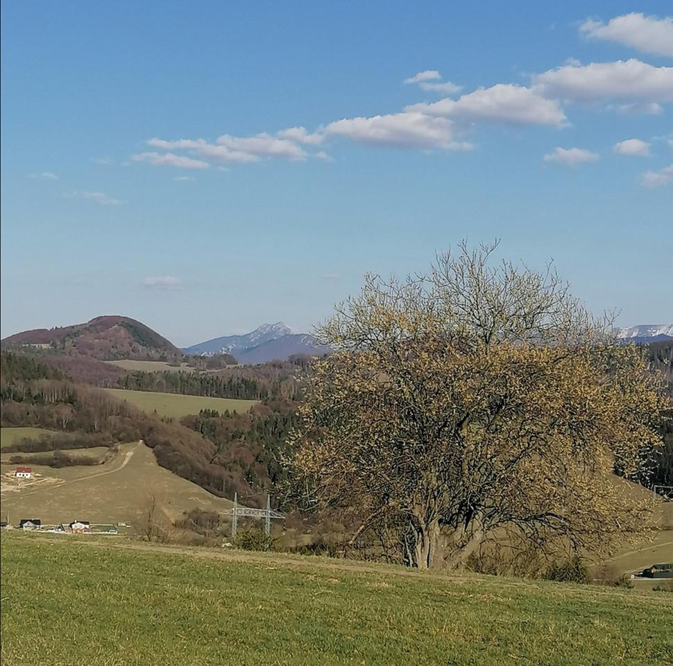 Rozsutec