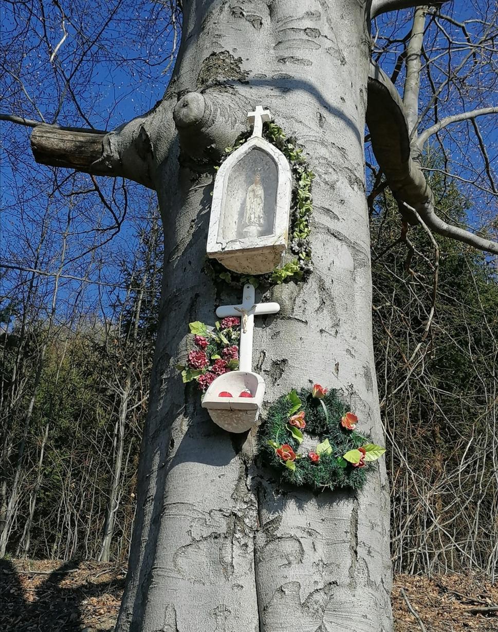 Obrázok blogu
