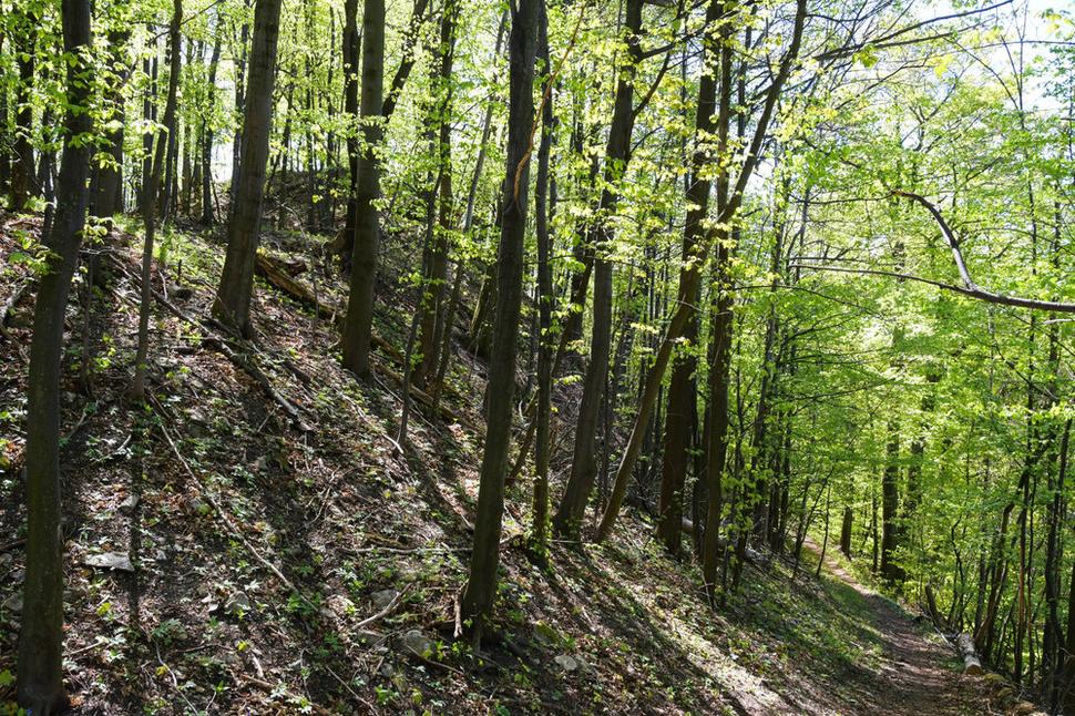 Dobre značený turistický chodník nás po hodine chôdzi zo Sklených Teplíc privádza po hradnej ceste (vpravo) ku hradnému kopcu. Kedysi sa tu vstupovalo hlavnou bránou do hradného areálu.