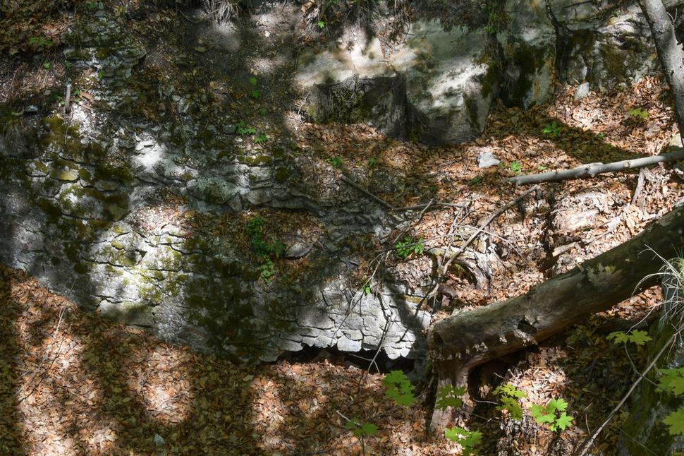Čo sa skrýva za týmto otvorom? Nevieme, zvyšky hradu Teplica doteraz neboli odborne preskúmané. Je preto možné, že v budúcnosti ešte vydá svoje netušené a prekvapivé tajomstvá.