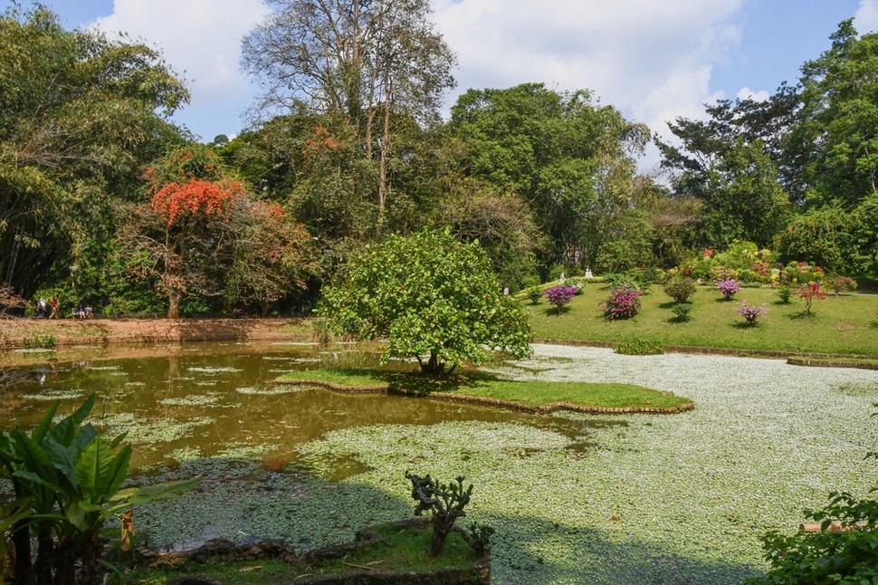 Kráľovská botanická záhrada Peradeniya.