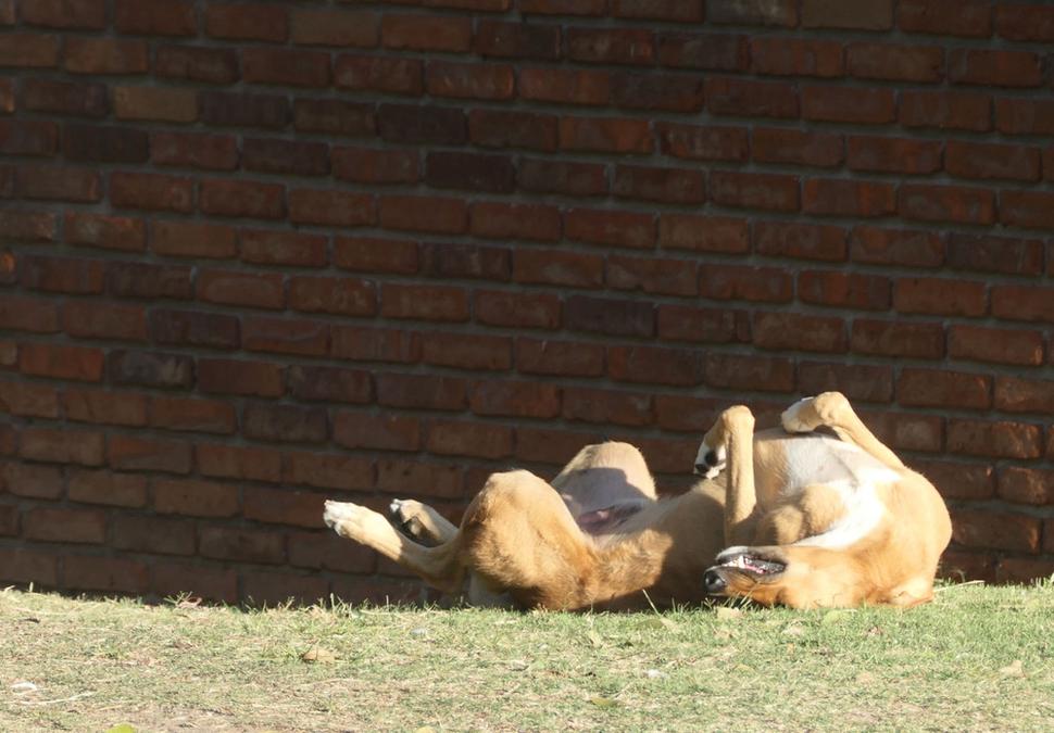 Omámený uruguajským slnkom