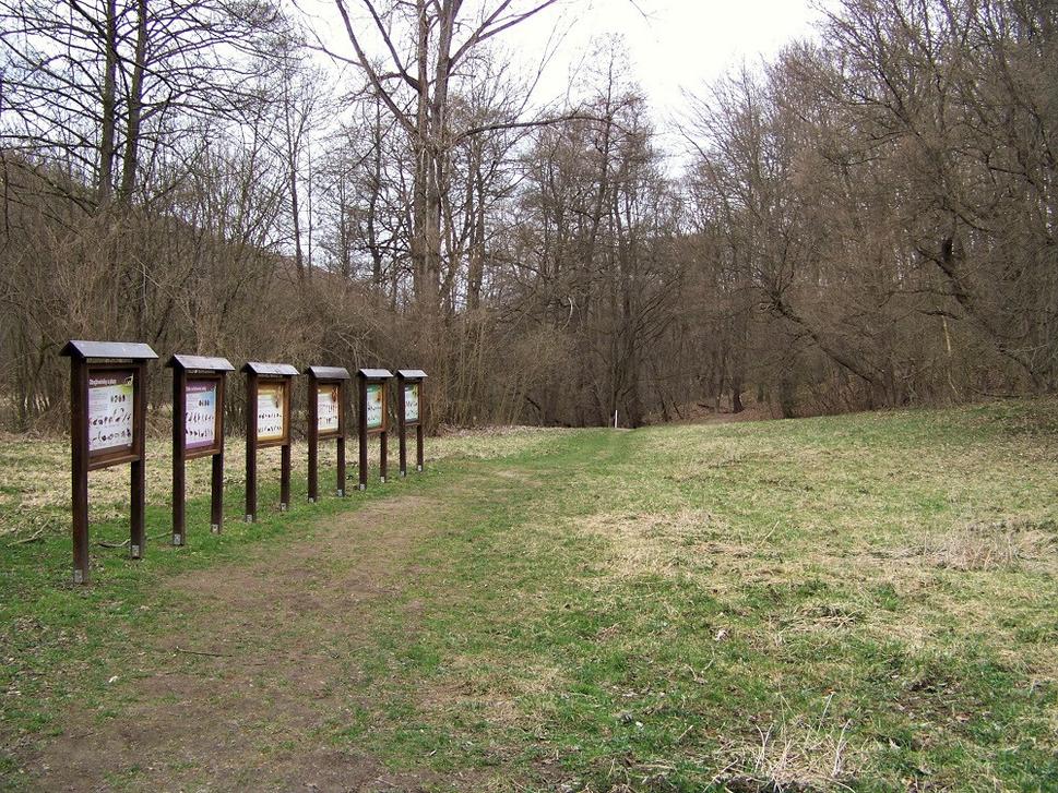 Obrázok blogu