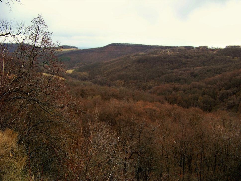 Obrázok blogu