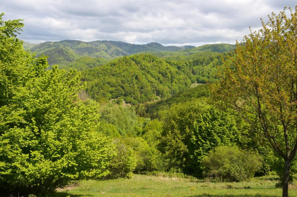 Takýto pohľad do Hodrušskej doliny sa naskytne z cesty autom z Hodruši na Kopanice cez Vlčiu horu. Na Vlčej hore stála vartovka, ktorá prijímala signál zo Sitna a Tanádu a burcovala obrancov Banskej Hodruše.