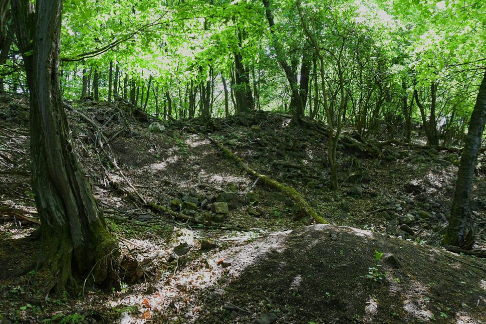 Na vrchu Hrádok nad Tekovskou Breznicou sa dodnes zachovali ostatky kedysi pyšného hradu Breznica. Na najvyššie položenom juhovýchodnom ukončení hrebeňa sa rozkladalo hradné jadro s rozmermi 50x30 metrov a s ním spojené predhradie dlhé 130 metrov.