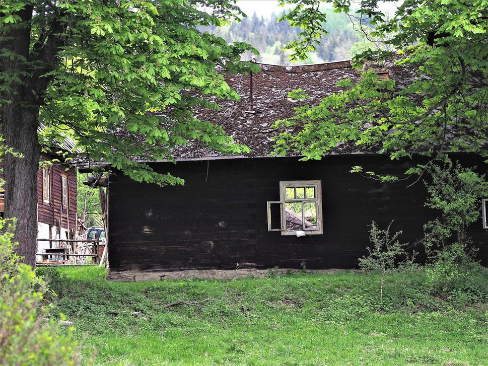 Obrázok blogu
