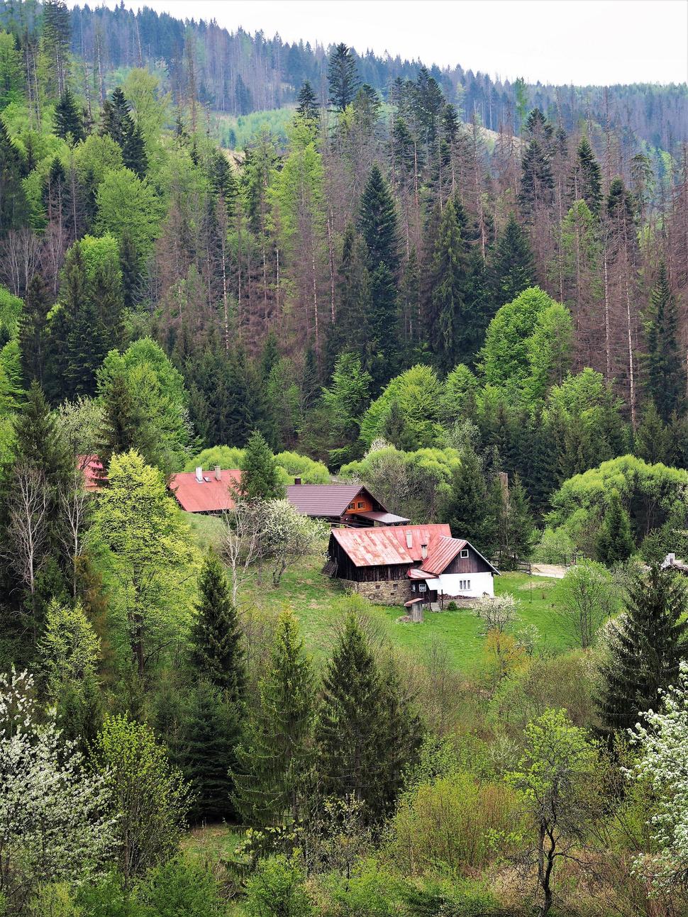 Obrázok blogu