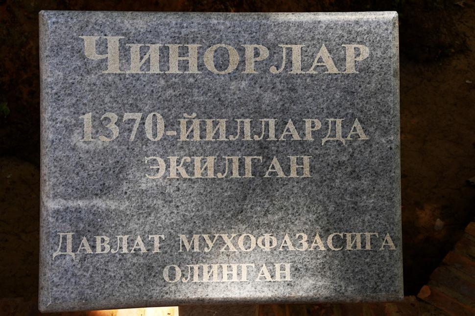 Tabuľka potvrdzujúca vek platanu, má 649 rokov.