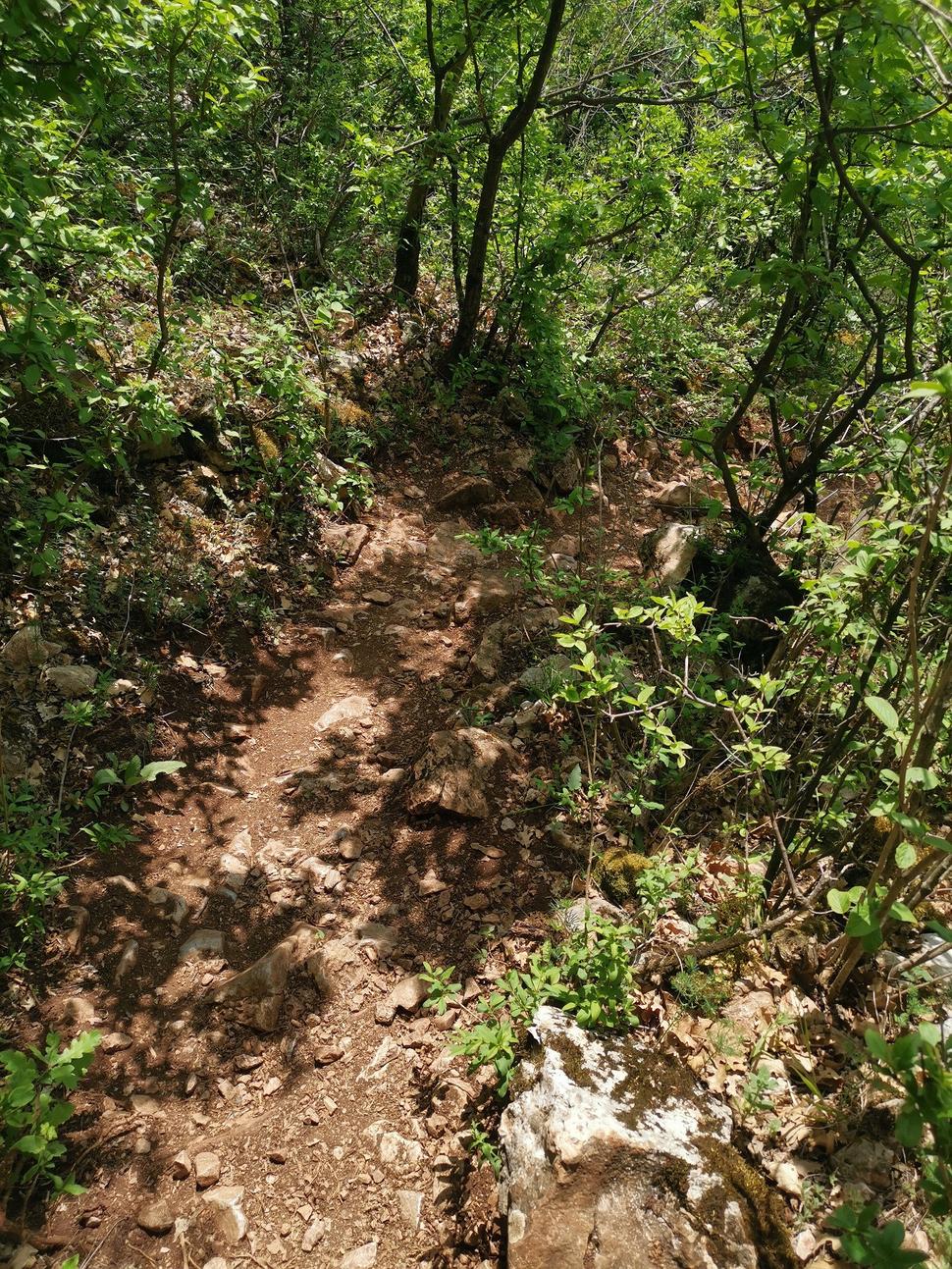 Terén