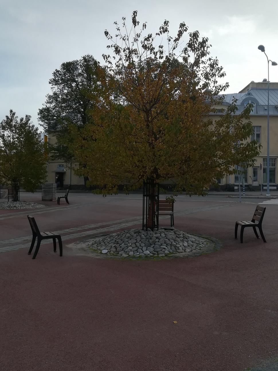 Rauma