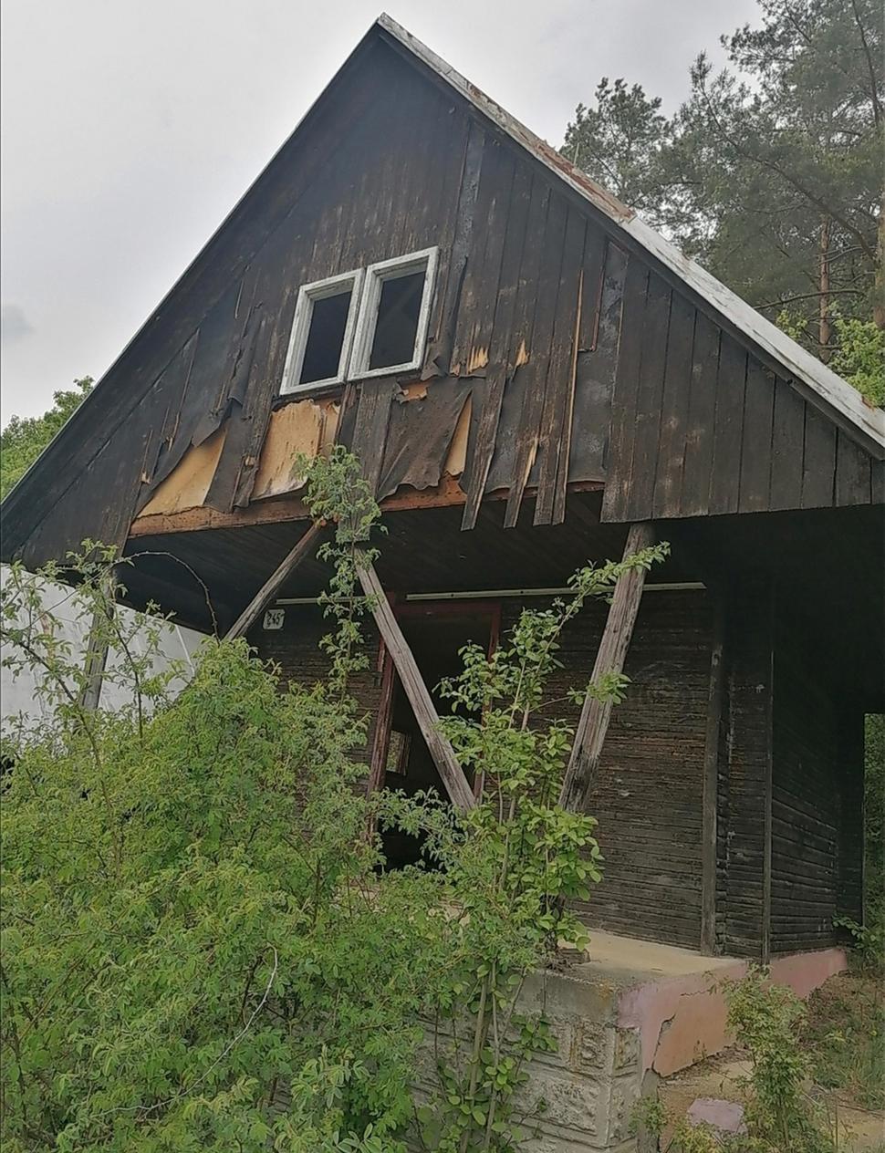 Obrázok blogu