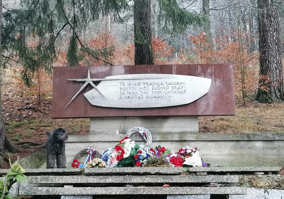 Obrázok blogu