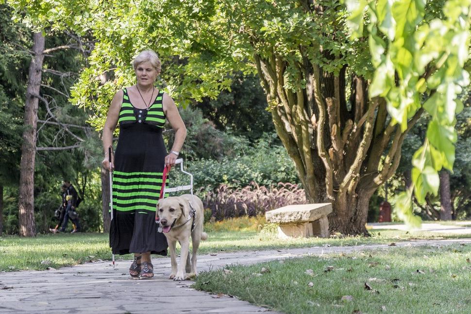 Ivetka a Ivor