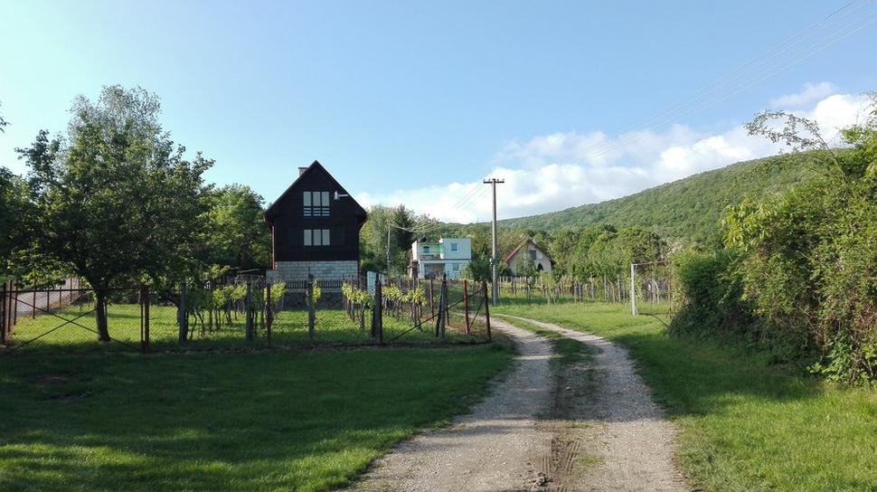 Vinice pod Kováčovskými kopcami.