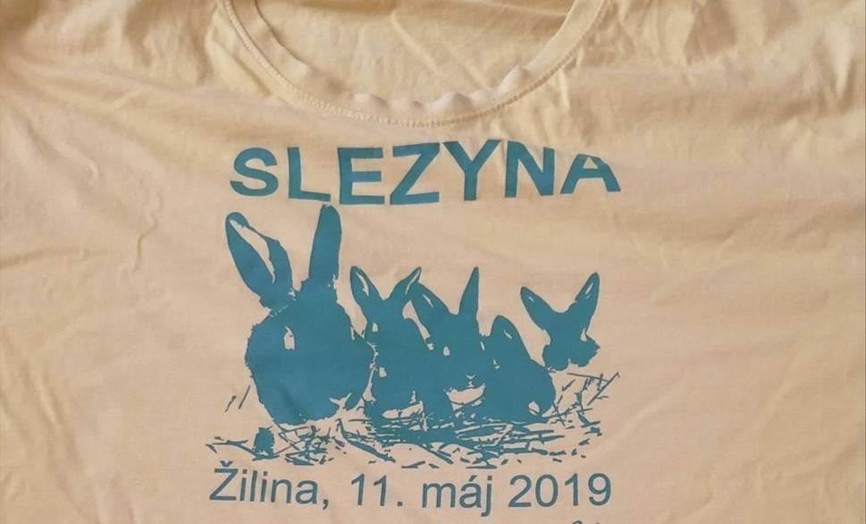 Tretie tričko. Slezyna I.