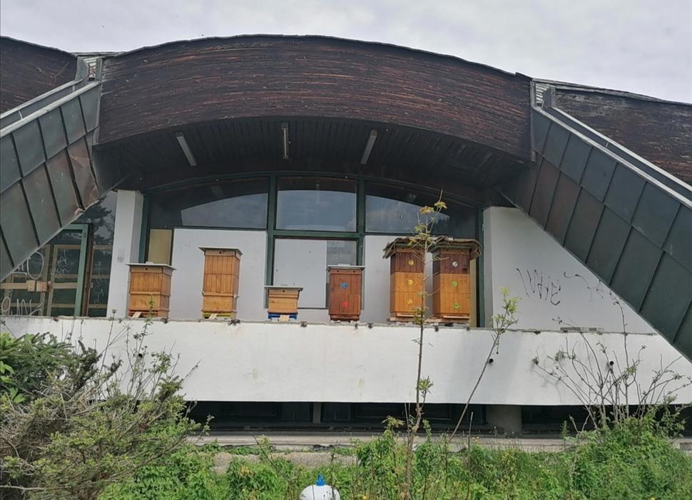 miesto našli aj úle