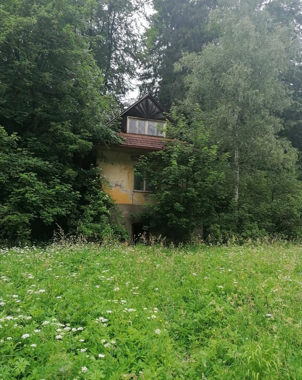 perníková chalúpka je skrytá v húštine