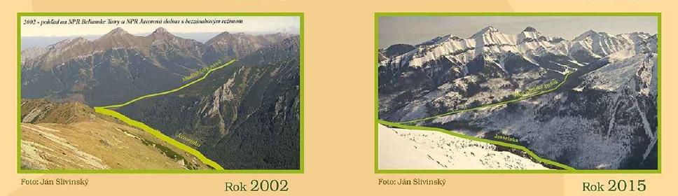 Javorová dolina a Zadné Meďodoly - porovnanie lesnatosti v 2002 a 2015