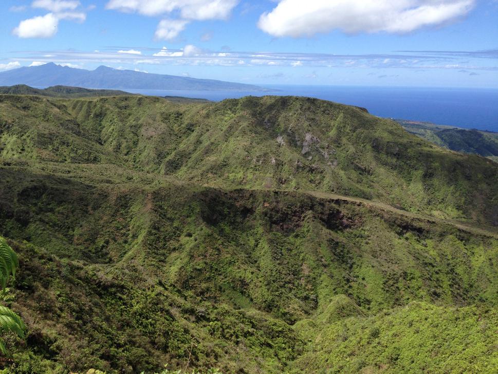 Typický charakter havajskej prírody na ostrove Maui. Autor fotografie: Ľubor Šešera. Licencia: CC BY-SA 4.0.
