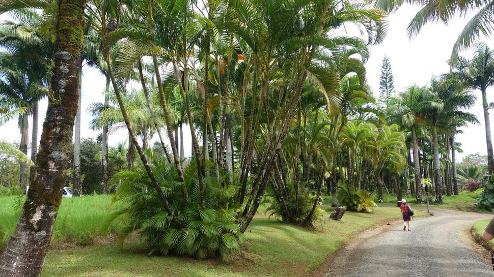 Vstup do Rajskej záhrady (Garden of Eden) na ostrove Maui. Autor fotografie: Ľubor Šešera. Licencia: CC BY-SA 4.0.