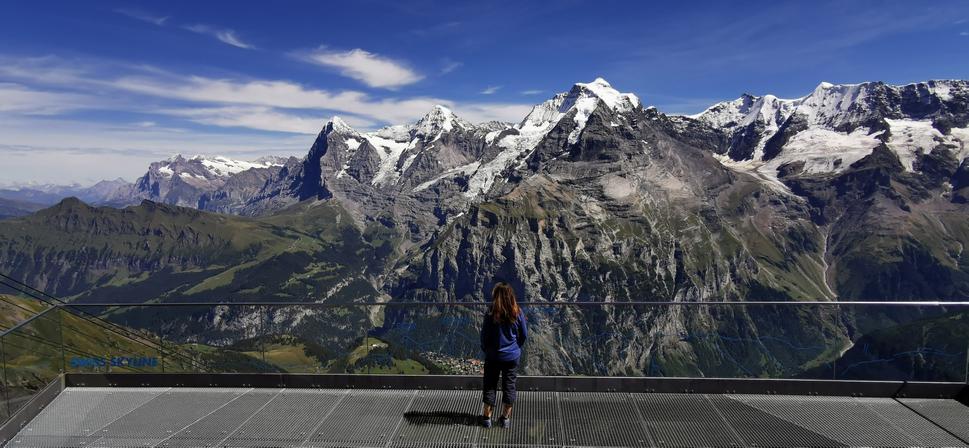Skyline Walk, Birg