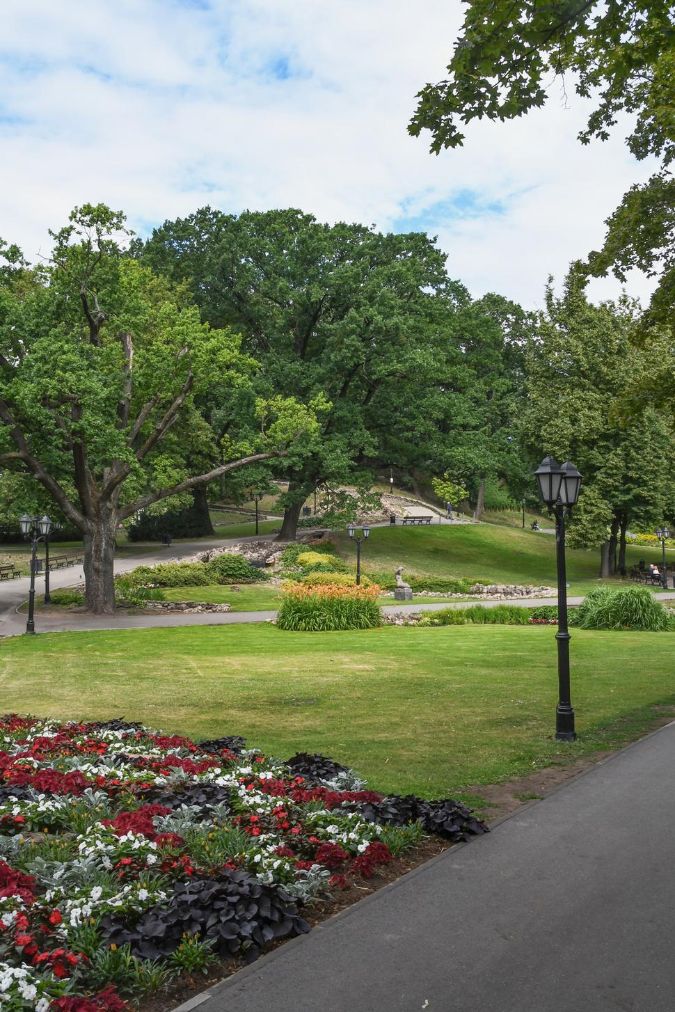 Na ceste k secesnej štvrti prechádzame cez krásne upravený mestský park. V jeho strede je kopček, prevyšujúci okolie asi o 30 metrov. Je to najvyšší bod na povrchu rovinatej Rigy. Kedysi to bolo hlavné mestské smetisko, dnes miesto pre zimnú sánkovačku.