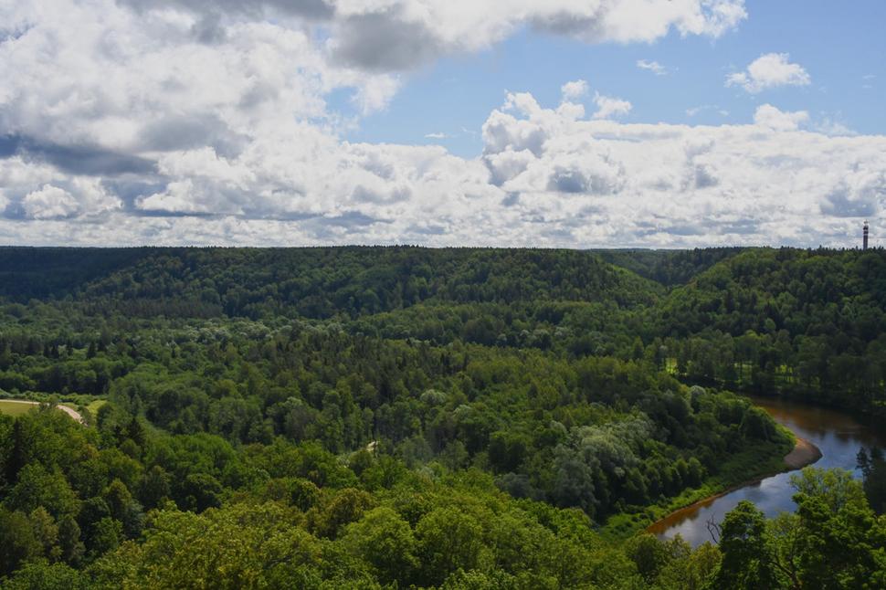 Pohľad z veže na rieku Gauja, utopenú v záplave zelene a preháňajúce sa oblaky nad rozprávkovou krásou.