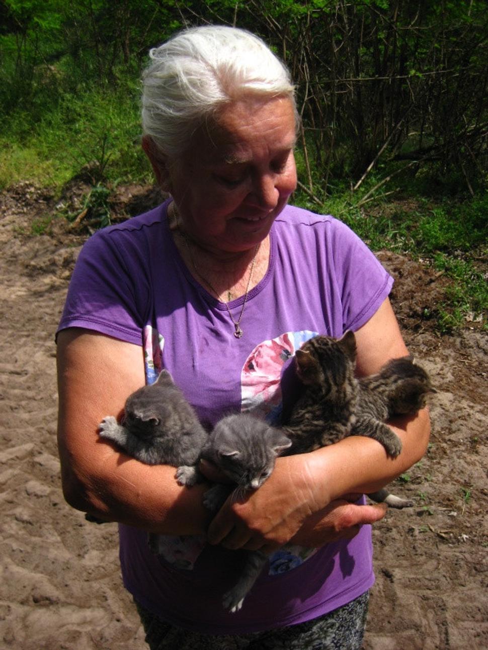 mačiatka