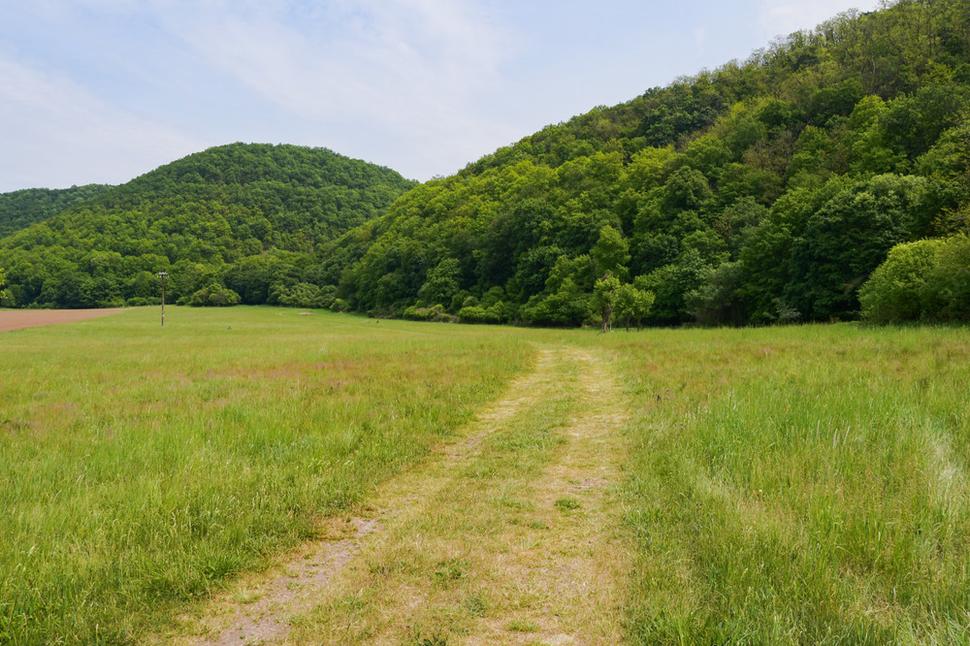 Od "jednodierok" a "dvojdierky" sa presúvame asi 400 metrov v smere "ďalej od železničnej stanice" k "osemdierke". V údolí ku ktorému smerujeme je aj známa Tesárska roklina.