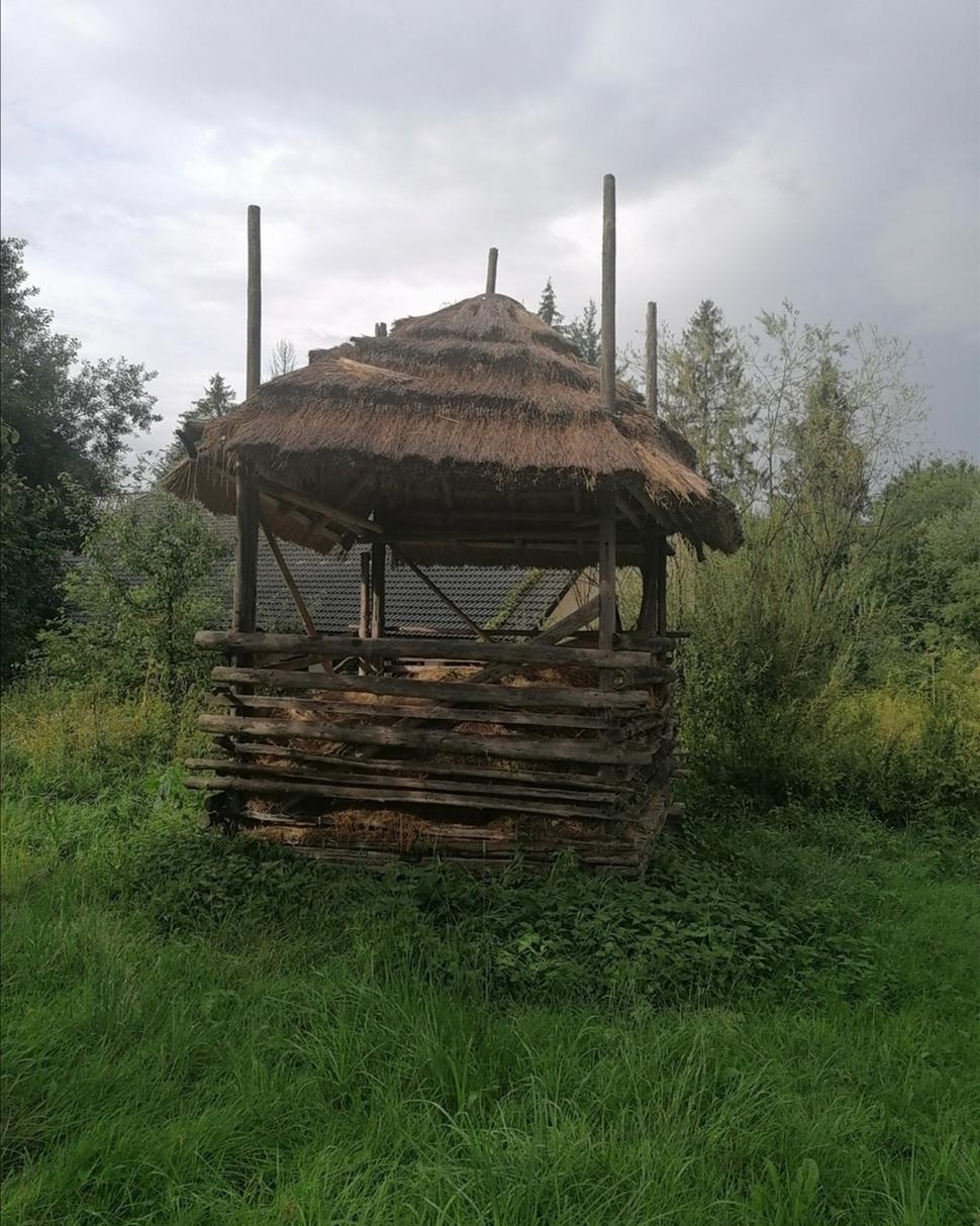 Obrázok blogu