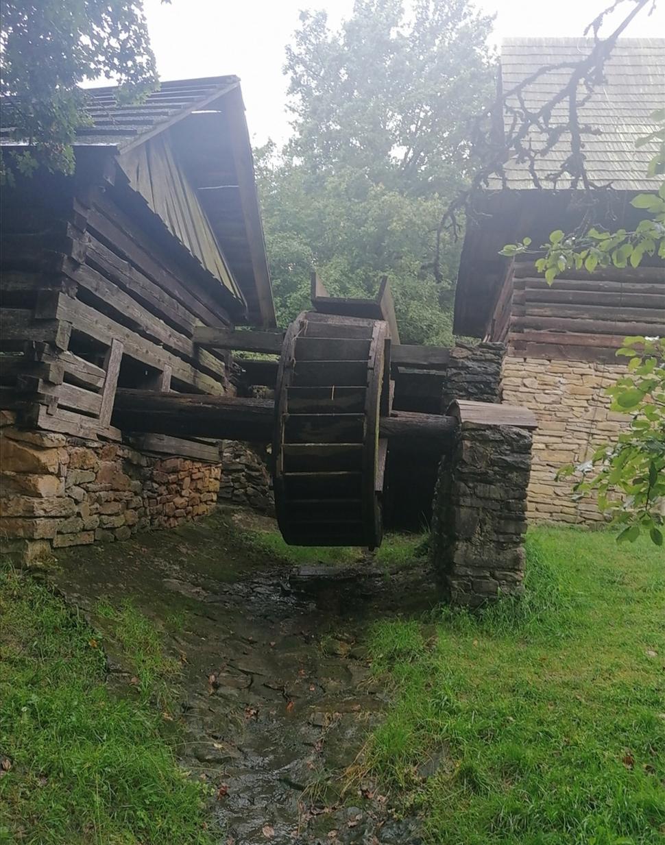 kolo kolo mlynské...
