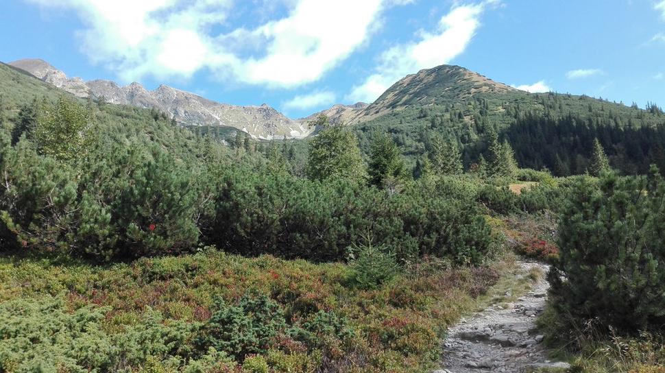 Jeden z turistických chodníkov vedúcich od Žiarskej chaty.