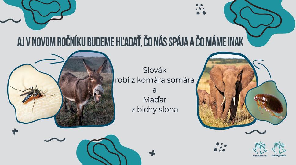 Nový ročník, nové výzvy