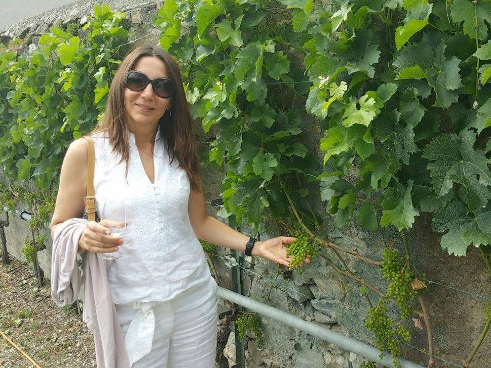 Mondial du Chasselas, Aigle