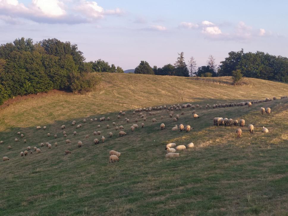 Pasienky nad obcou Vysoká v Štiavnických vrchoch.