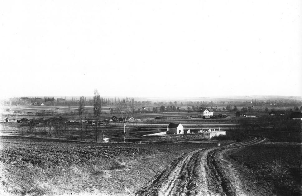 Neologický židovský cintorín v meste Zlaté Moravce v roku 1895