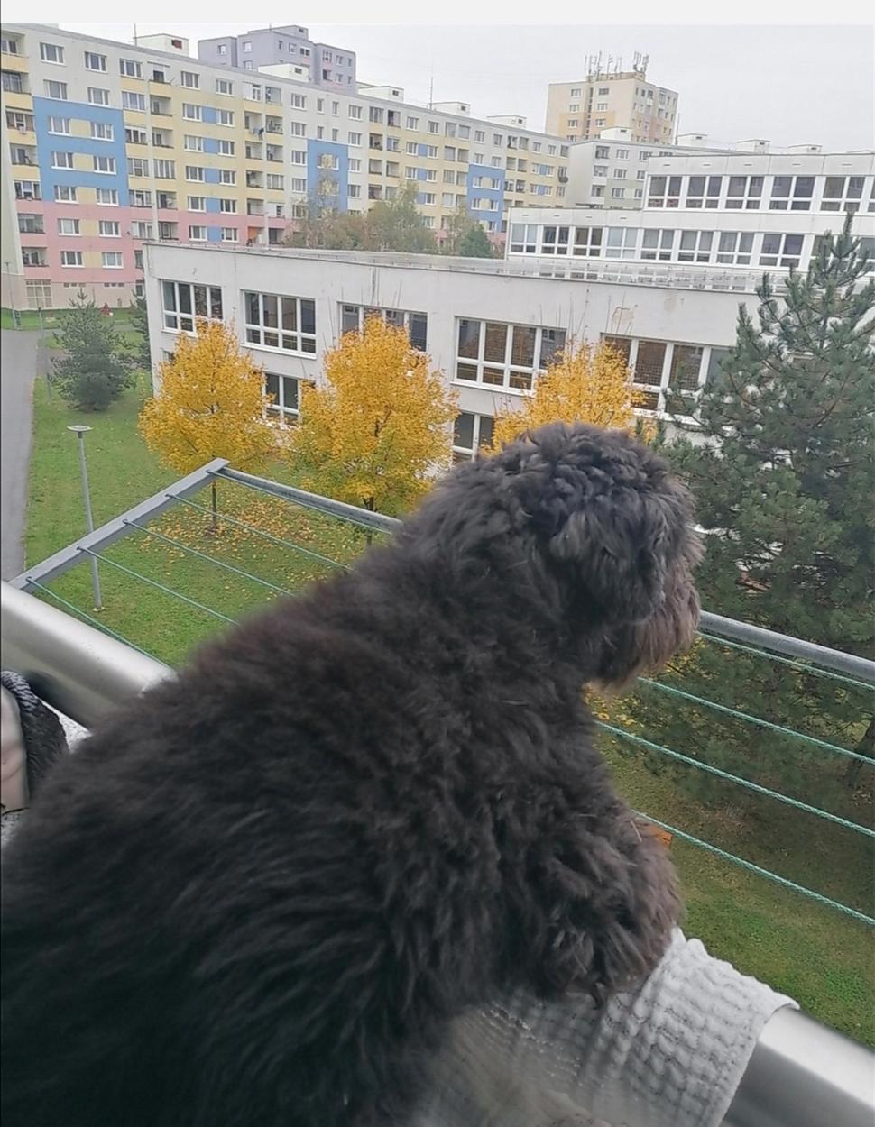 obhliadka terénu z balkóna