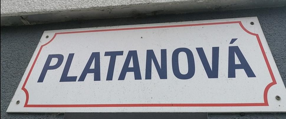 premenujeme na Javorovú?